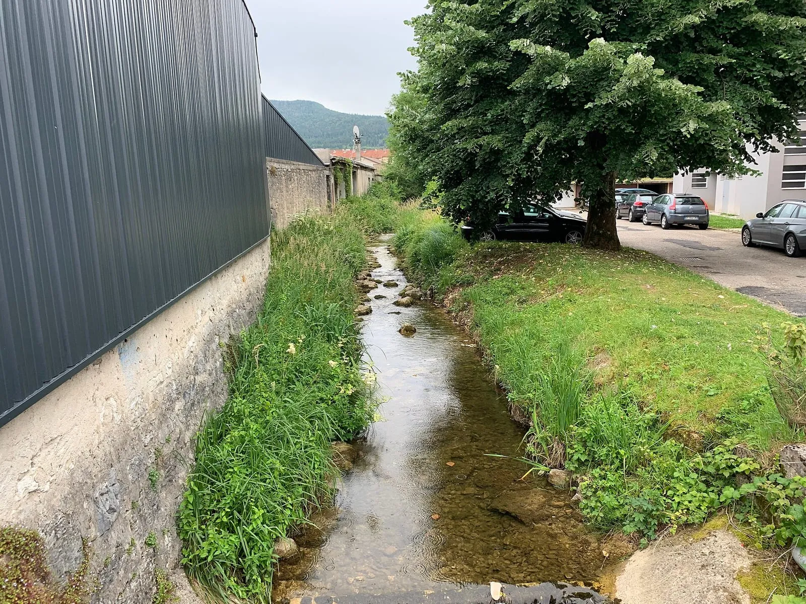 La Sarsouille à Oyonnax, cours d'eau qui traverse la ville