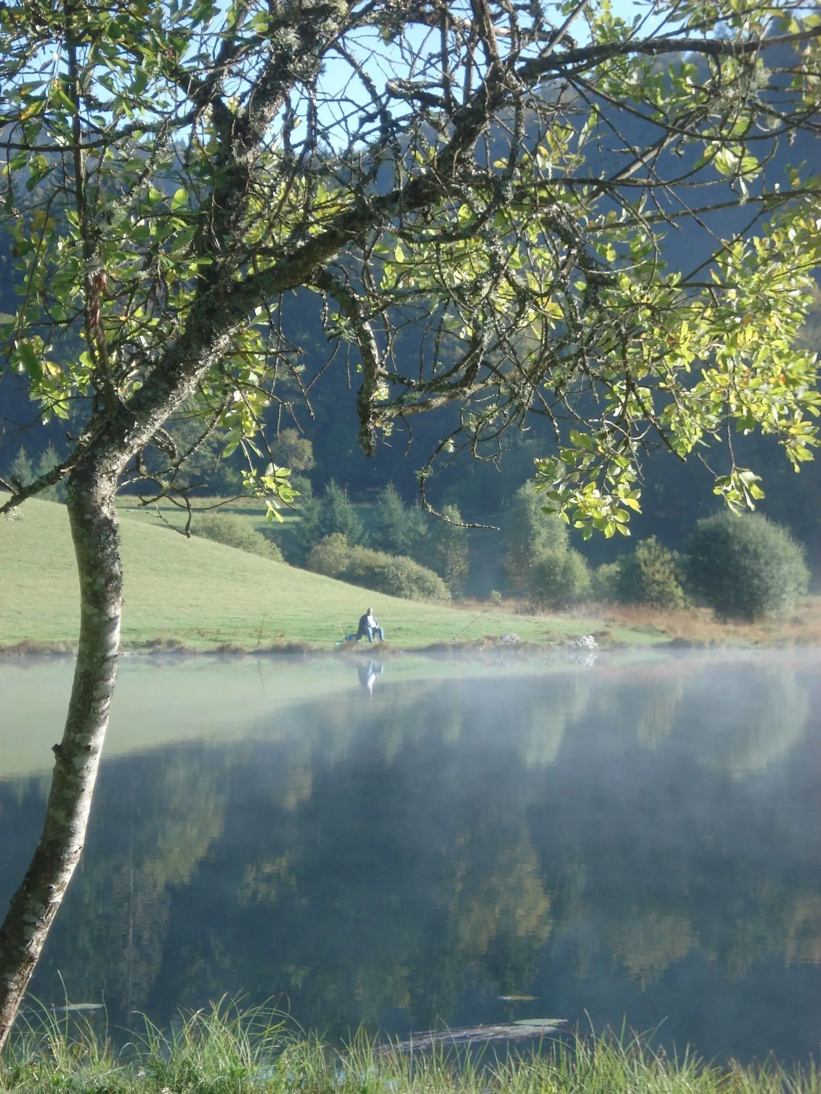 Un pêcheur au bord du lac Genin, dans la clairière entourée de sapins