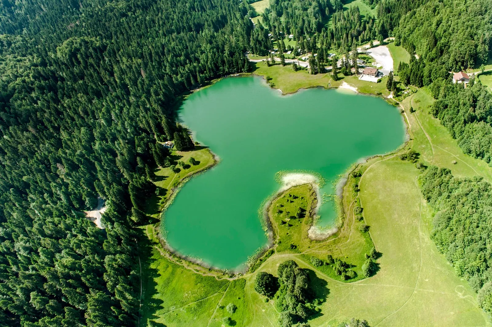 Le lac Genin vu du ciel, au cœur des forêts de la commune d'Oyonnax