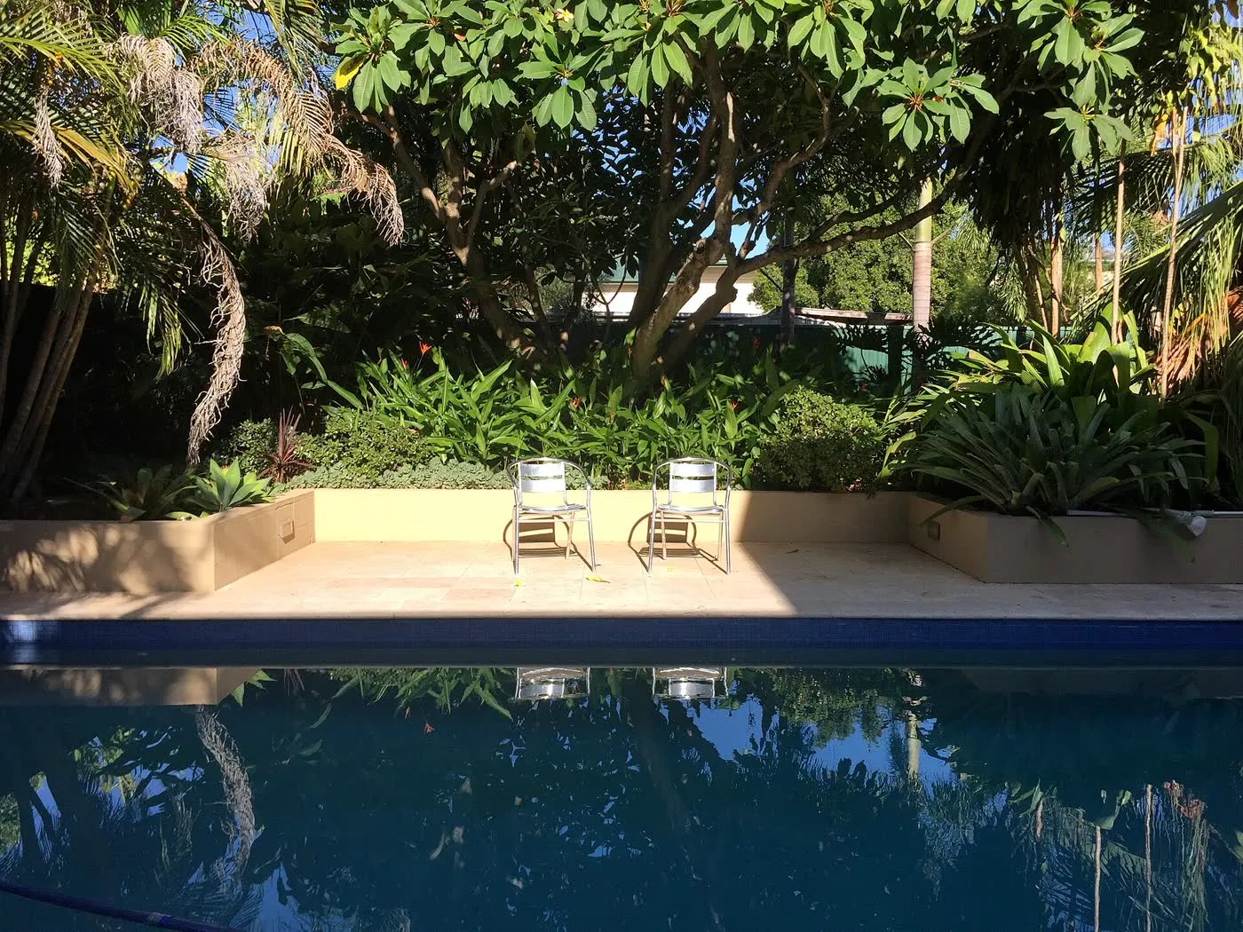 Un bassin privé entouré d'une terrasse, vu depuis le jardin (illustration)