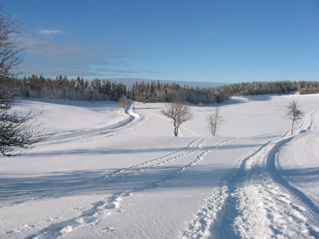 Le plateau de Retord et ses pâturages, dans le Haut-Valromey